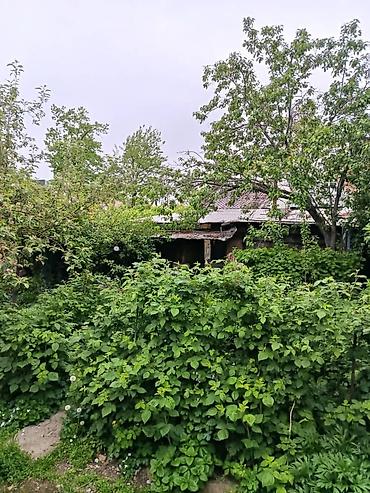 первое: Продаю пол дома. Улица Гагарина пересекает Чапаева. Участок 3 сотки — 4