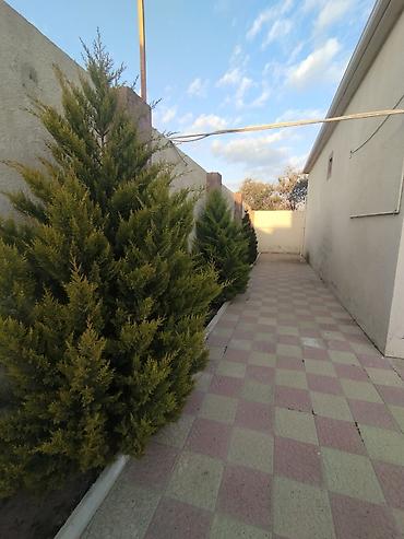 Daşınmaz əmlak: Maştağa qəs. 3 otaqlı, 100 kv. m, Kredit yoxdur, Yeni təmirli — 6