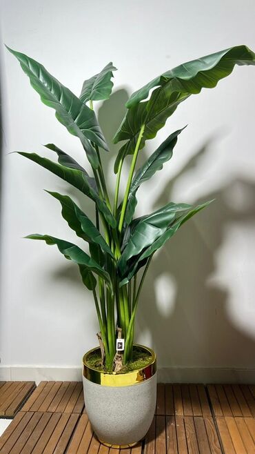 Süni güllər: Dekorativ süni ağaclar dəsti - Model 1: Varlıqlı yarpaqlı dekorativ — 10