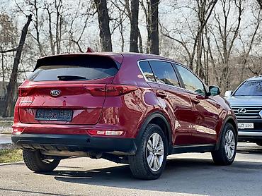 Kia: Kia Sportage: 2017 г. — 6
