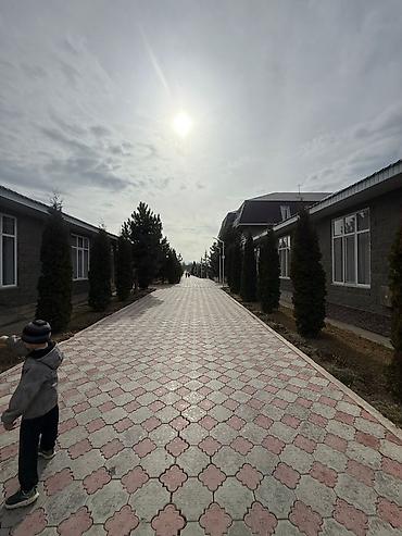 Долгосрочная аренда квартир: 2 комнаты, С мебелью полностью — 12