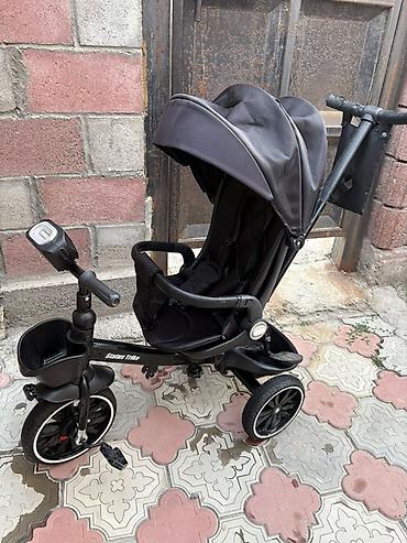 trike: Детский трехколесный велосипед–коляска Startos Trike (черный) — 2