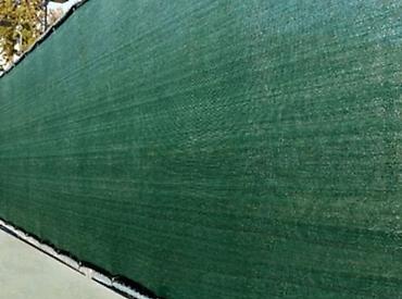 Other garden flower saplings & seedlings: Оптом и в розницу — 11