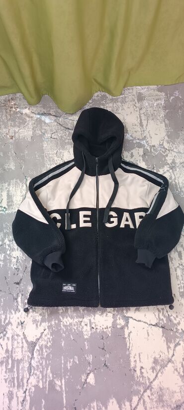 возьму даром щенка: Теди качество