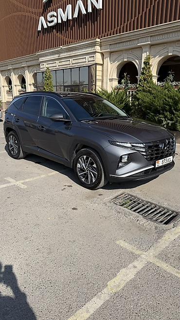 незамерзайка для машины: Hyundai Tucson: 2022 г., 1.6 л, Автомат, Гибрид, Кроссовер — 2