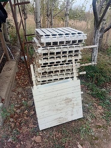 Пластиковые клетки/коробки для транспортировки и содержания птицы