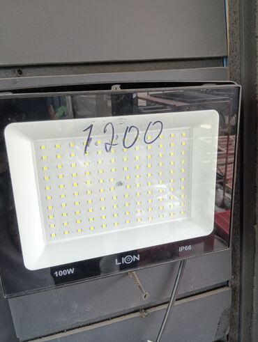 лампы для теплиц: Светодиодный прожектор Lion мощностью 100 Вт. Корпус прямоугольной