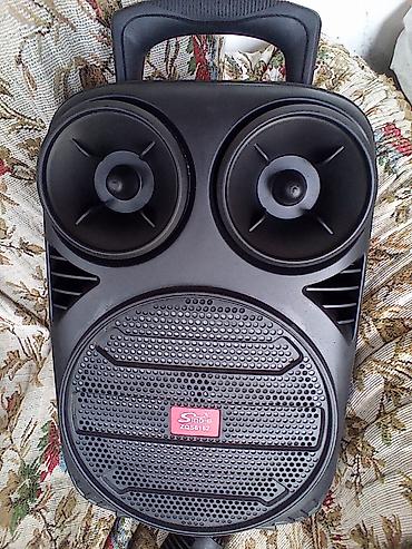 Караоке: Daşına bilən karaoke tipli dinamik sistemi – Sine-e ZQS6162 — 3