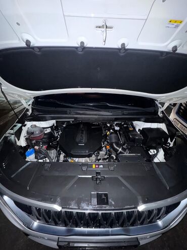 Kia: Kia Carnival: 2021 г., 2.2 л, Дизель, Минивэн — 4