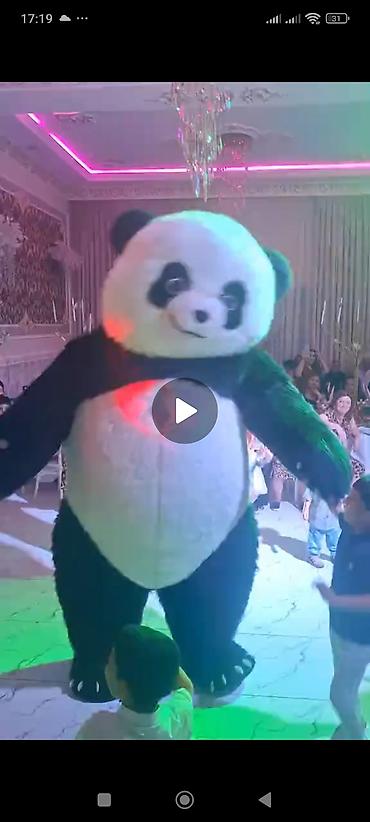 animatorlar bakida: Panda maskot ilə tədbir əyləncəsi - Böyük ölçülü panda maskotu ilə — 3