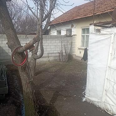 Продажа коттеджей и домов: Домовладение с хозяйственными постройками и курятником - Участок во — 3