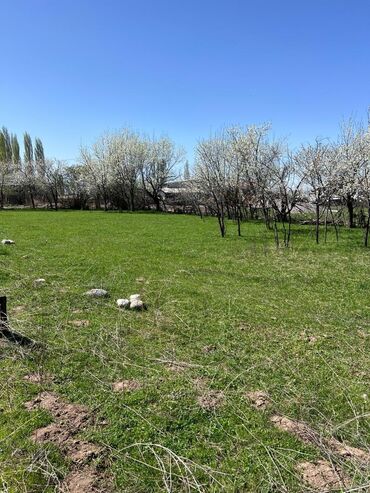 Продажа участков: 10 соток, Для строительства, Красная книга at lalafo.kg — 4 Продажа участков: 10 соток, Для строительства, Красная книга — 4