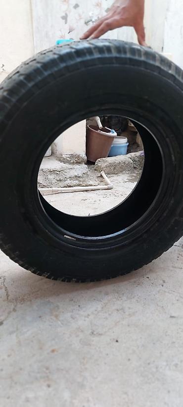 ov tir: İşlənmiş Şin Lassa 265 / R 16 — 3
