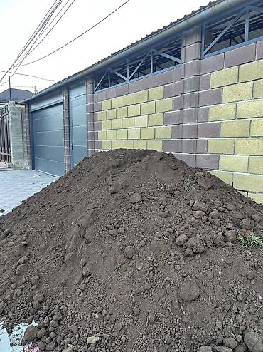 Грунт, чернозем: Чернозем чернозем чернозем чернозем чернозем чернозем чернозем — 3