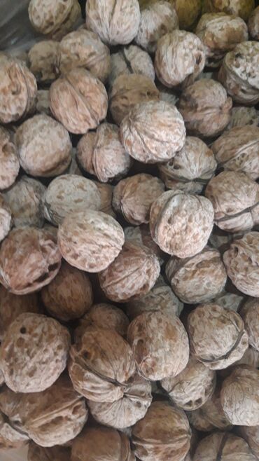 грецкие орехи: Продаю грецкие орехи, скорлупа тонкая, высушеные, без химикатов