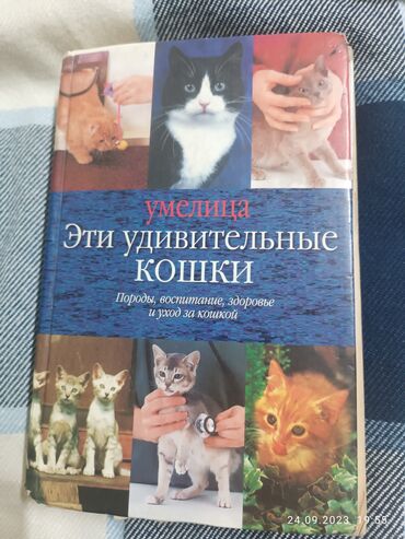 Книга Эти удивительные кошки