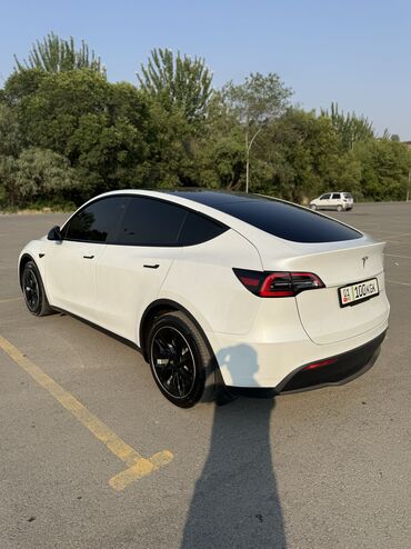 Tesla: Tesla Model Y: 2020 г., Автомат, Электромобиль, Кроссовер — 8