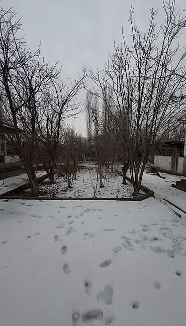 Продажа коттеджей и домов: Окуу жана окуу ❗ жакшы бада жер үй сатылат адрес Жалал-Абад шаарында — 9