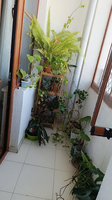 Duş kabinaları, arakəsmələr: Arakəsmə, Düzbucaqlı — 22