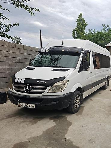 Mercedes-Benz: Mercedes-Benz Спринтер: 2007 г., Бус — 1