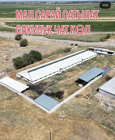 сдам частный дом без хозяина в бишкеке: Сатам Кой короо, 45 соток, Иштеп жаткан