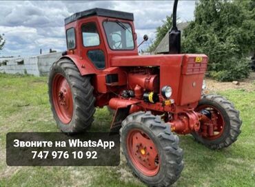 тракторы мтз беларус: Продам трактор Т 40 в отличном в рабочем состоянии готов к работе