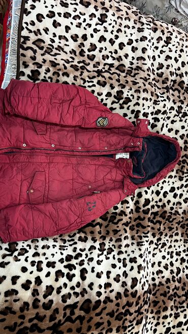 Куртки: Куртки каждая по 300 — 14