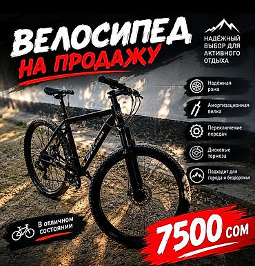 мустанг лошадь цена: Горный велосипед, Skillmax, Рама L (172 - 185 см), Сталь, Б/у — 1