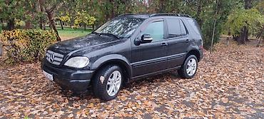 devo matiz: Mercedes-Benz M-Class: 1998 г., 3.2 л, Автомат, Бензин, Внедорожник — 3