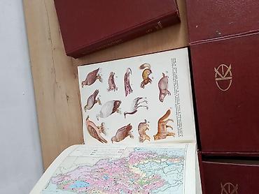 Словари: Кыргыз совет энциклопедия китептери ССР сатылат 1 ден 7 ге чейин — 9