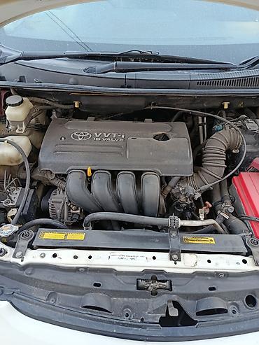 Toyota : 2004 г., 1.8 л, Автомат, Бензин, Минивэн