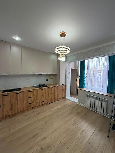 1 комната, 45 м², Технопарк Элитка, 8 этаж, Евроремонт