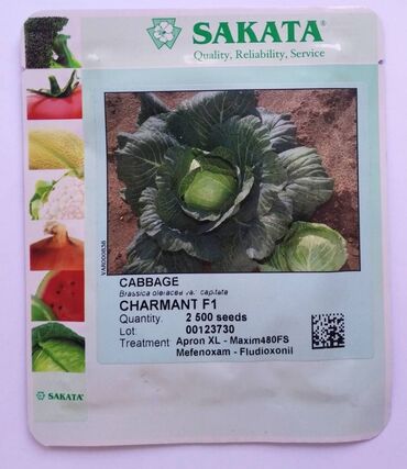 Другие товары для дома и сада: Семена капусты Шармант F1 от компании sakata (2500 семян), ранний