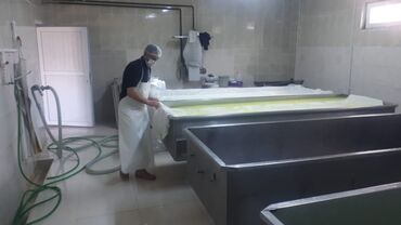 axşam növbəsi iş elanları: Bərdə rayonunda. pendir istehsalı müəssisəsinə işçi tələb olunur