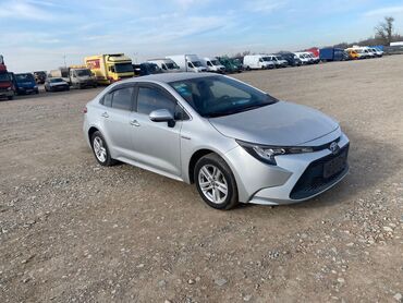 Toyota: Toyota Corolla: 2019 г., 1.8 л, Автомат, Гибрид, Седан