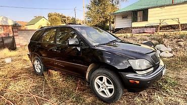 мухабойка на рх 300: Lexus RX: 2000 г., 3 л, Автомат, Бензин, Кроссовер — 2