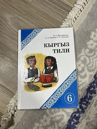 Русский язык и литература: Комплект школьных учебников для 6 класса С ОБЛОЖКАМИ ГОТОВЫЕ Состав — 26