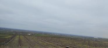 купить участок в баку: 36000 соток, Для сельского хозяйства, Купчая — 2