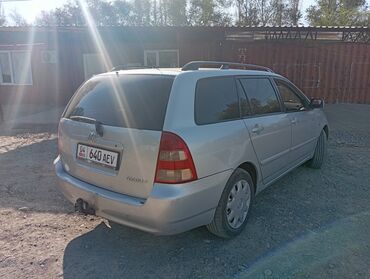 победа машина: Toyota Corolla: 2002 г., 2 л, Механика, Дизель, Универсал