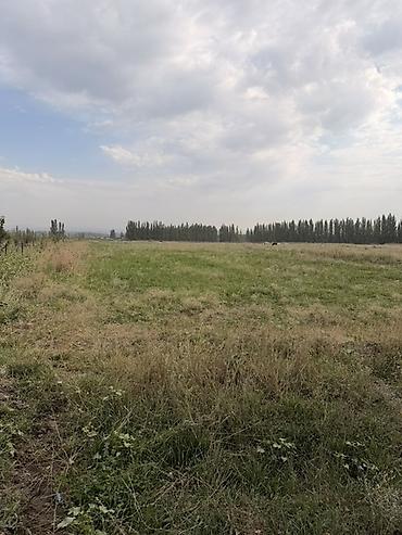 premium development: 80 соток, Для сельского хозяйства — 1