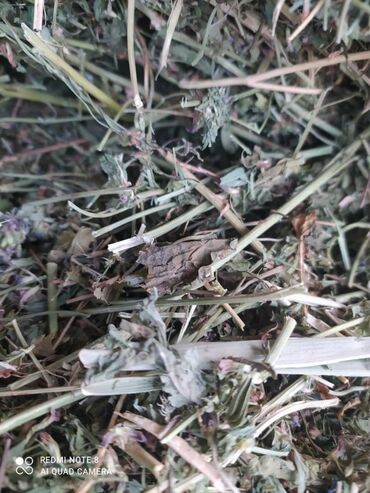 Корма для с/х животных: Сено в тюках - Прессованные прямоугольные тюки, перевязанные — 8