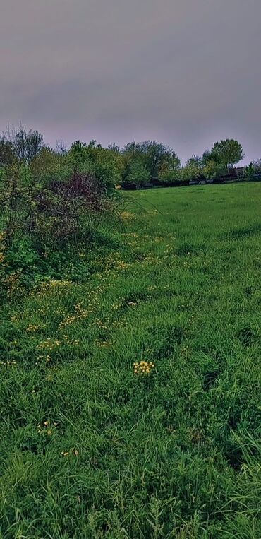 Torpaq sahələrinin satışı: 10 sot, Tikinti, Mülkiyyətçi, Bələdiyyə — 13