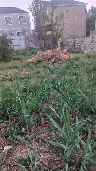 bağca satılır: Bakı, Əhmədli, 5 kv. m, 1 otaqlı, Hovuzsuz — 7