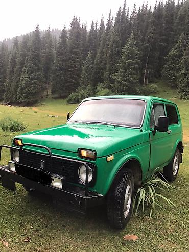 мапет матор: ВАЗ (ЛАДА) 4x4 Нива: 1982 г., 1.6 л, Механика, Бензин, Внедорожник — 4