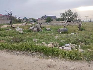 zabratda: 4 sot, Tikinti, Mülkiyyətçi — 4