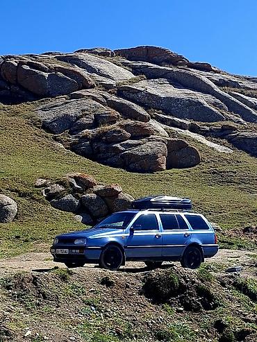 Volkswagen Golf Variant: 1994 г., 2 л, Механика, Бензин, Универсал