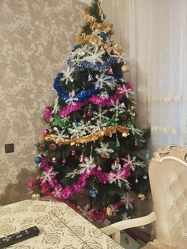 şaxta baba saxta can: Bəzəkli süni Yeni il şam ağacı – tam dəst - Hündürlük: təxminən orta — 2