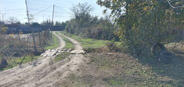 Torpaq sahələrinin satışı: 13 sot, Tikinti, Mülkiyyətçi, Kupça (Çıxarış) — 5