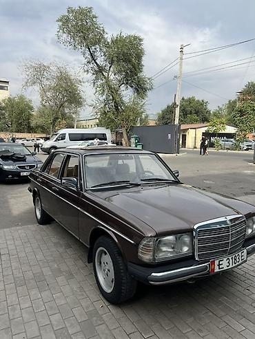 мерседес бенц зайчик: Mercedes-Benz W123: 1984 г., 2 л, Механика, Бензин, Седан — 3