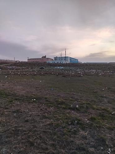 binə mehriban qonşular: 34 sot, Kənd təsərrüfatı, Kupça (Çıxarış) — 1